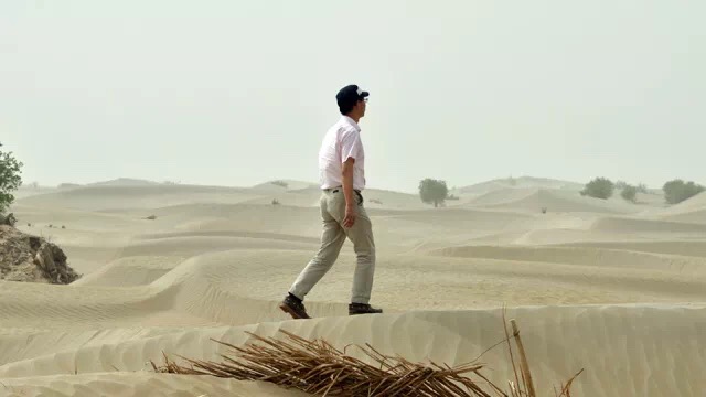 WDCM上传图片 WDCM上传图片