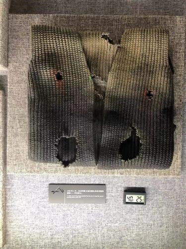 WDCM上传图片 WDCM上传图片