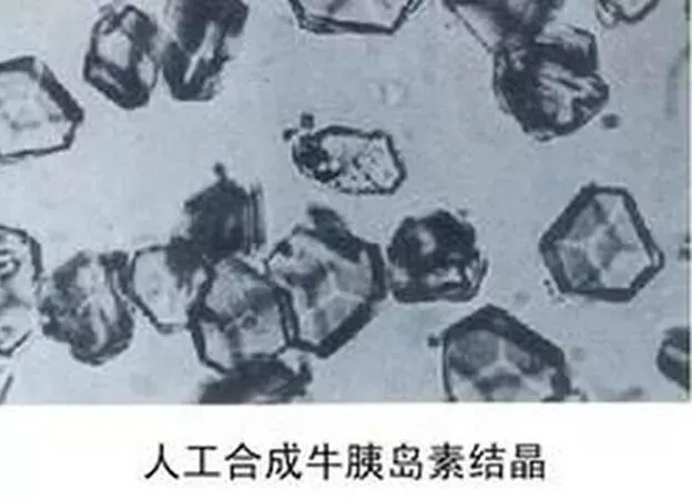 WDCM上传图片 WDCM上传图片