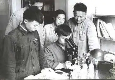 WDCM上传图片 WDCM上传图片